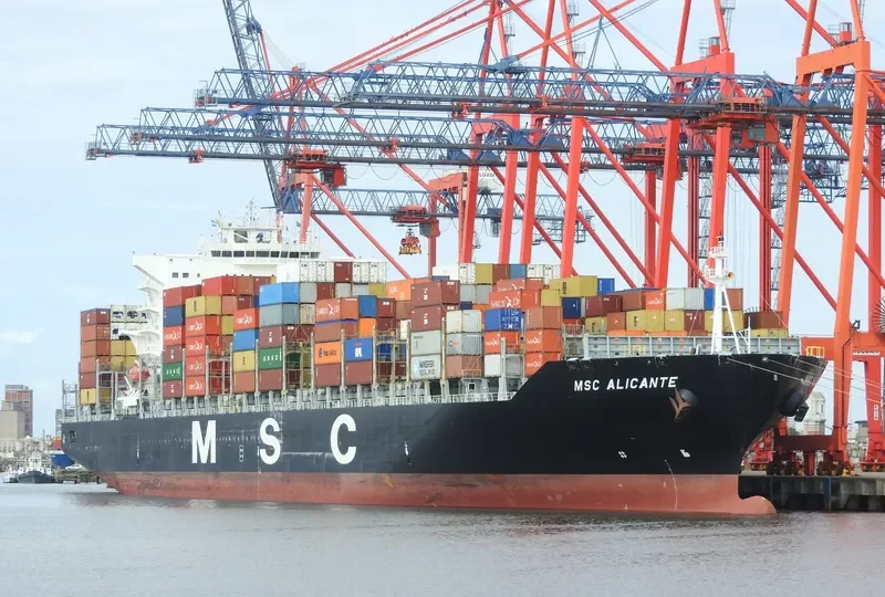 MSC ALICANTE Container Ship IMO 9480174 photo 2
