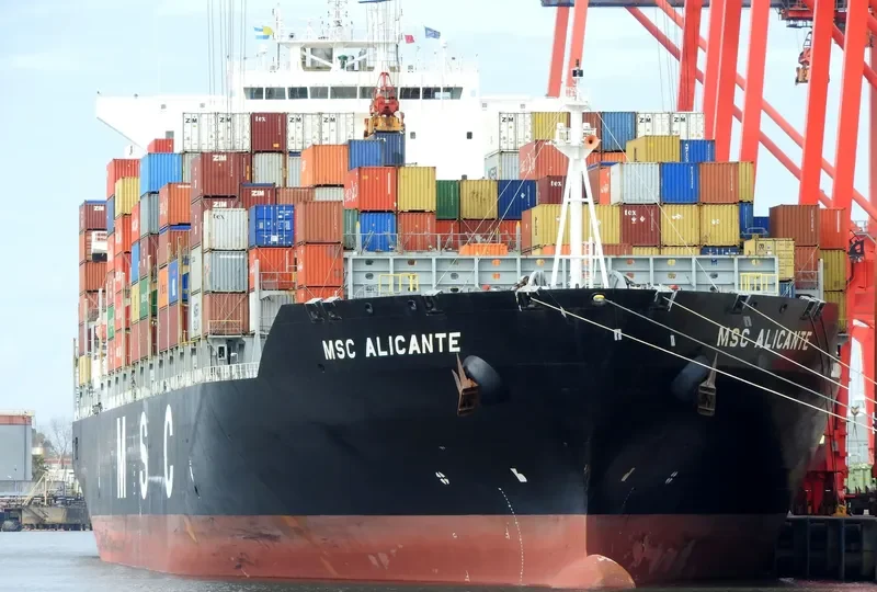 MSC ALICANTE Container Ship IMO 9480174 photo 3