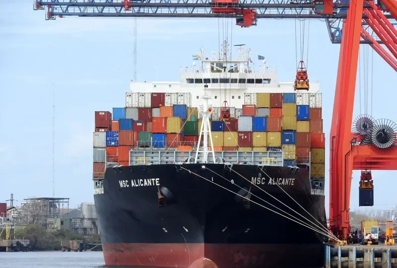 MSC ALICANTE Container Ship IMO 9480174 photo 4