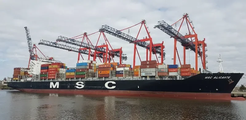 MSC ALICANTE Container Ship IMO 9480174 photo 5