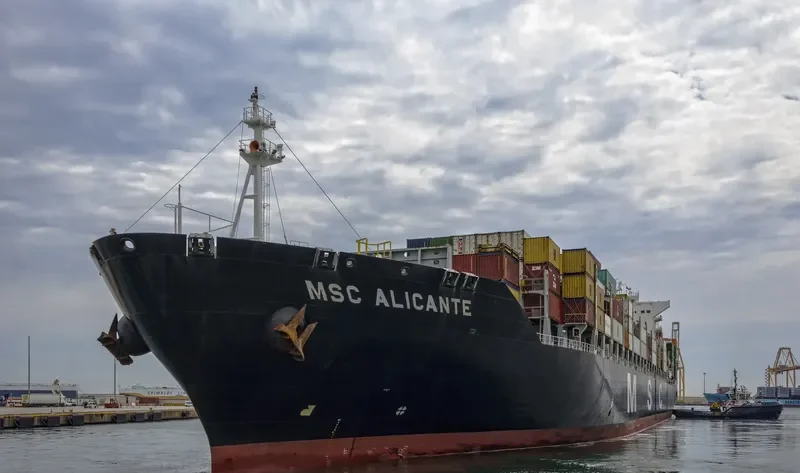 MSC ALICANTE Container Ship IMO 9480174 photo 8