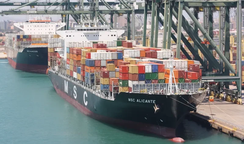 MSC ALICANTE Container Ship IMO 9480174 photo 9