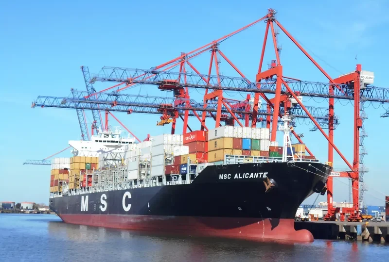 MSC ALICANTE Container Ship IMO 9480174 photo 10