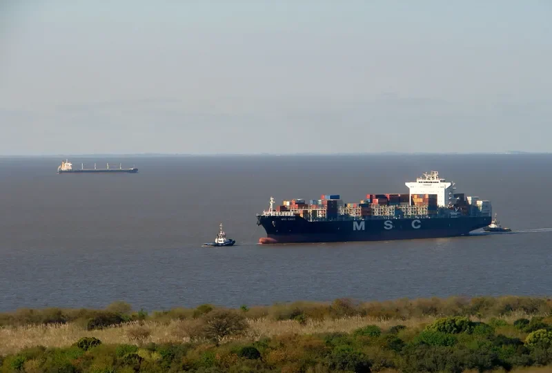 MSC CADIZ Container Ship IMO 9480203 photo 3