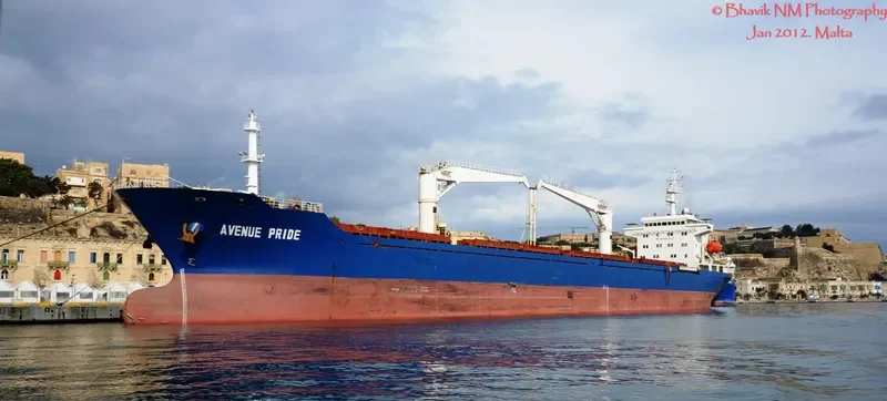 PRIDE Bulk Carrier IMO 9480277