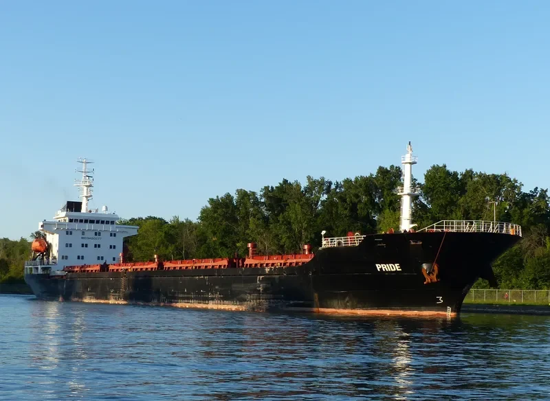 PRIDE Bulk Carrier IMO 9480277 photo 2