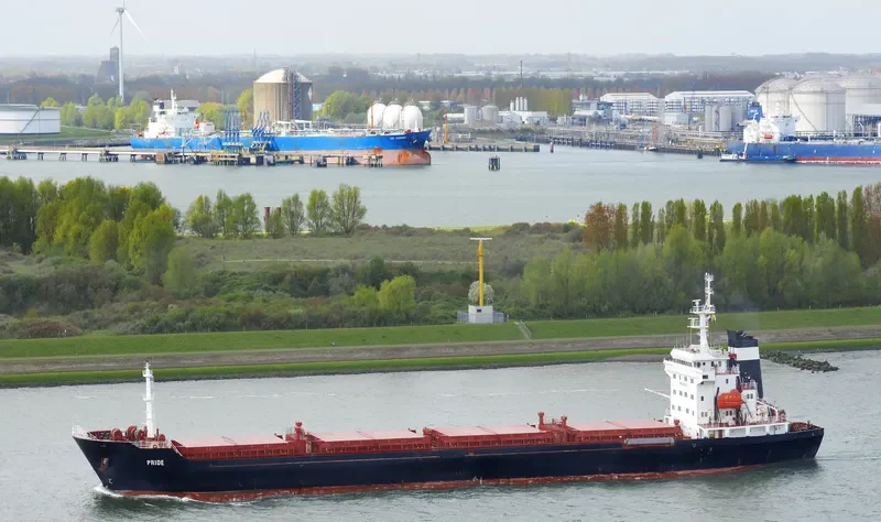 PRIDE Bulk Carrier IMO 9480277 photo 3