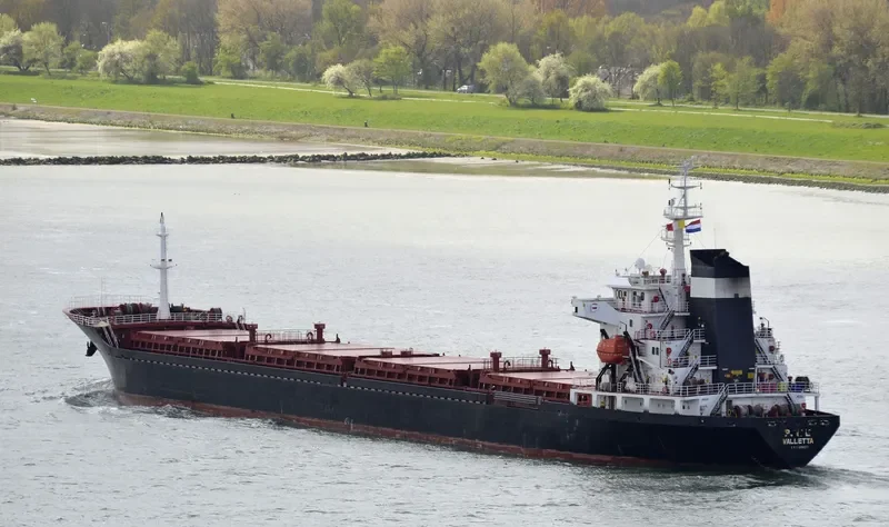 PRIDE Bulk Carrier IMO 9480277 photo 4