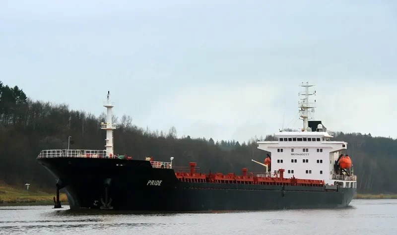 PRIDE Bulk Carrier IMO 9480277 photo 6