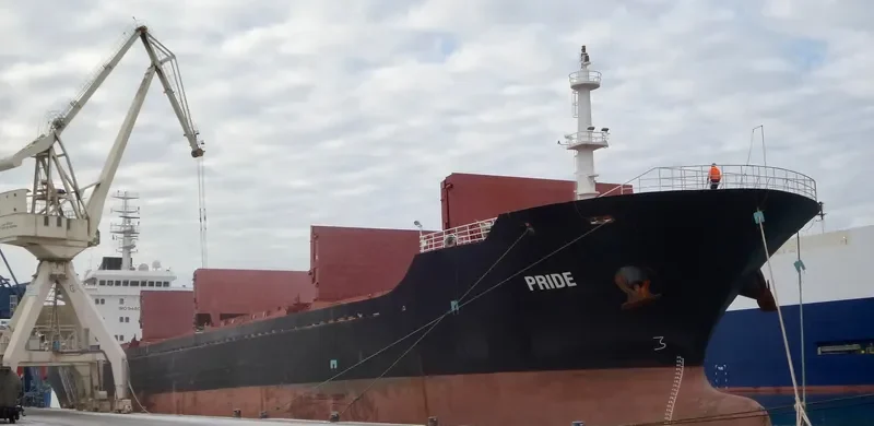 PRIDE Bulk Carrier IMO 9480277 photo 8