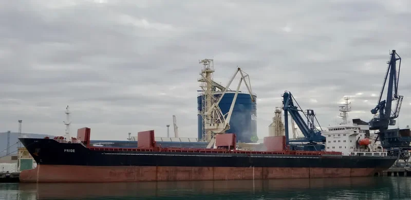 PRIDE Bulk Carrier IMO 9480277 photo 9