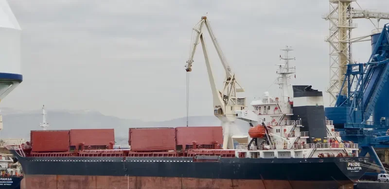 PRIDE Bulk Carrier IMO 9480277 photo 10