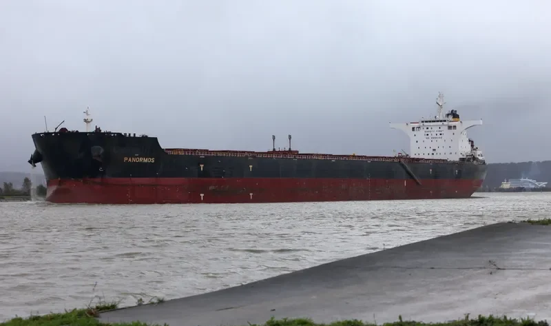 PANORMOS Bulk Carrier IMO 9480538 photo 4
