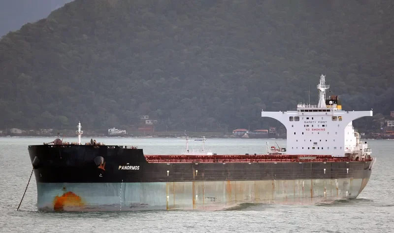 PANORMOS Bulk Carrier IMO 9480538 photo 6