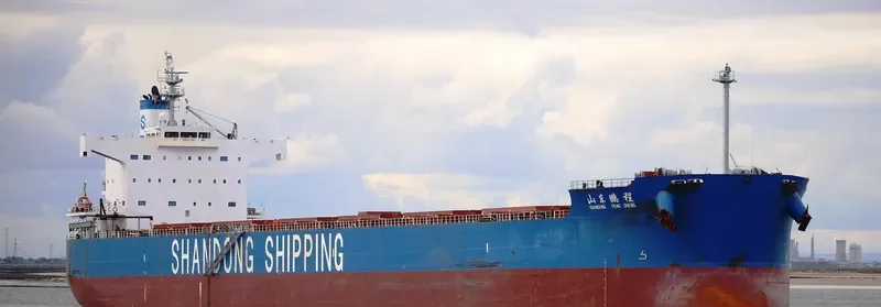 SHANDONG PENG CHENG Bulk Carrier IMO 9480552 photo 4