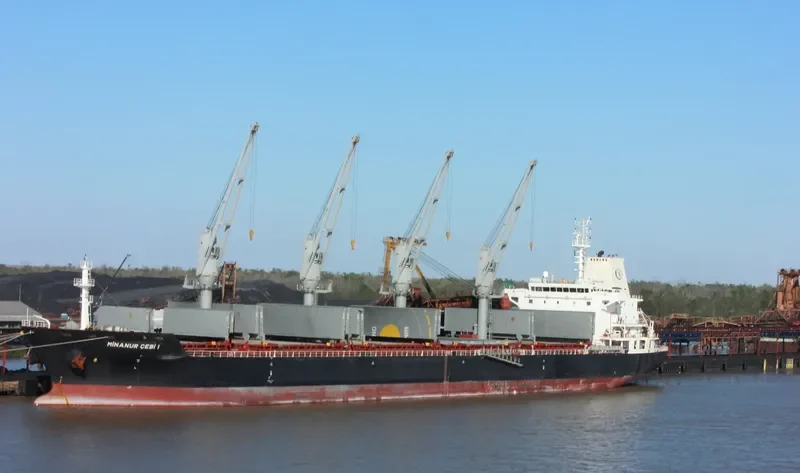 MINANUR CEBI 1 Bulk Carrier IMO 9480564 photo 3