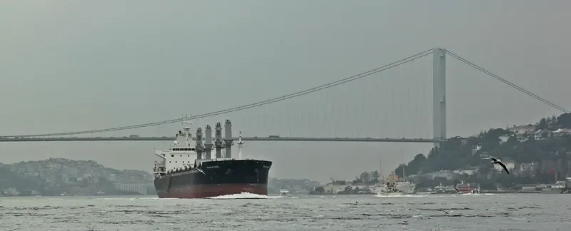 MINANUR CEBI 1 Bulk Carrier IMO 9480564 photo 7