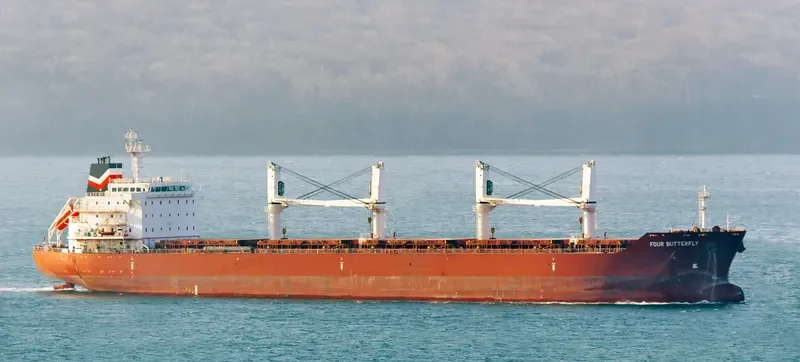 FOUR BUTTERFLY Bulk Carrier IMO 9480708 photo 14