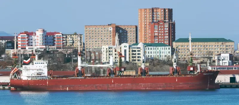 FOUR BUTTERFLY Bulk Carrier IMO 9480708 photo 21