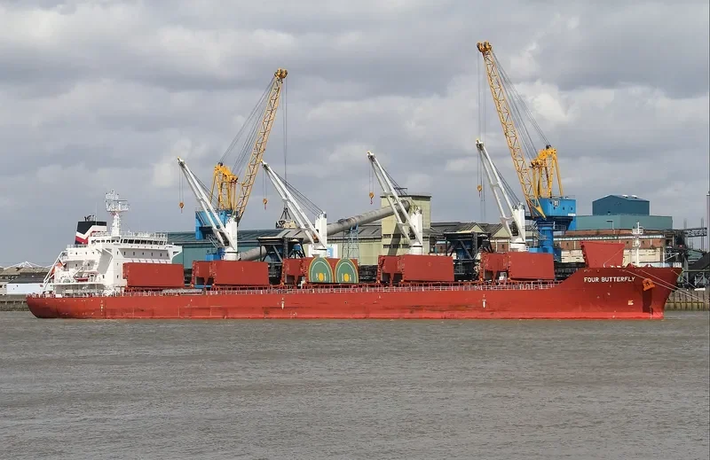 FOUR BUTTERFLY Bulk Carrier IMO 9480708 photo 27