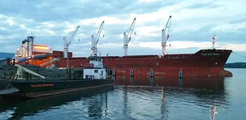 FOUR BUTTERFLY Bulk Carrier IMO 9480708 photo 36