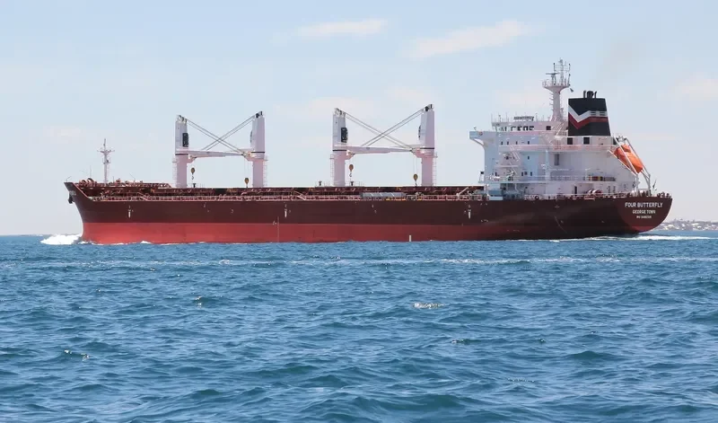 FOUR BUTTERFLY Bulk Carrier IMO 9480708 photo 40