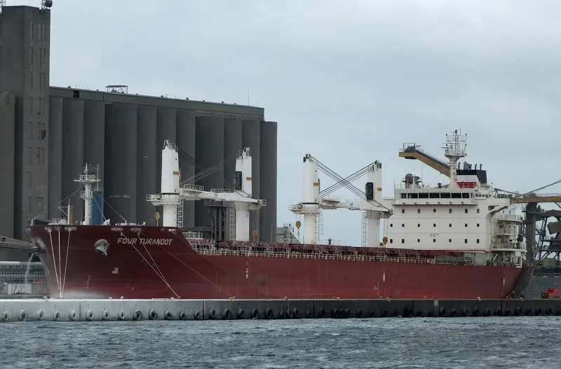 FOUR TURANDOT Bulk Carrier IMO 9480710 photo 7