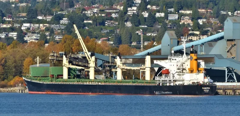 PANORIA Bulk Carrier IMO 9480930 photo 2