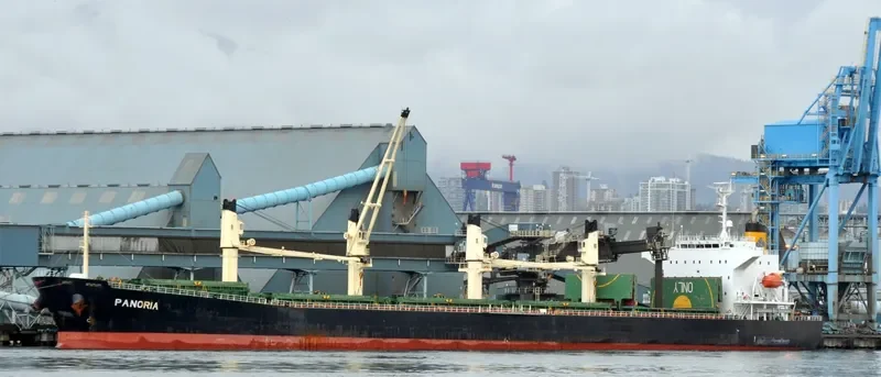 PANORIA Bulk Carrier IMO 9480930 photo 3