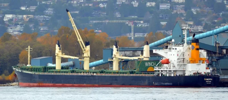 PANORIA Bulk Carrier IMO 9480930 photo 4