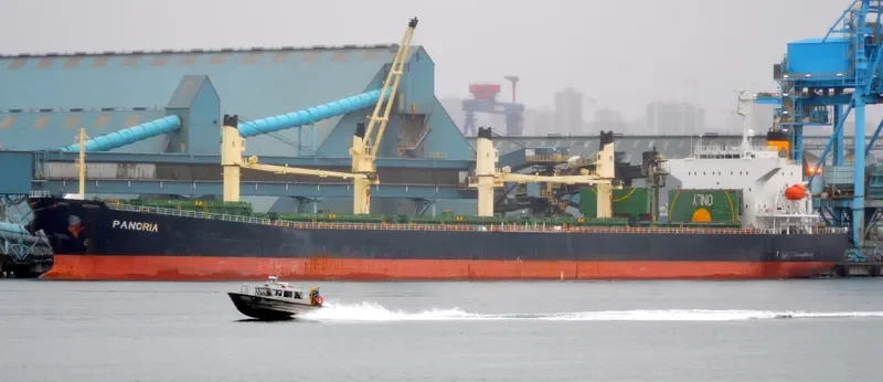 PANORIA Bulk Carrier IMO 9480930 photo 5