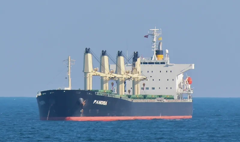 PANORIA Bulk Carrier IMO 9480930 photo 7