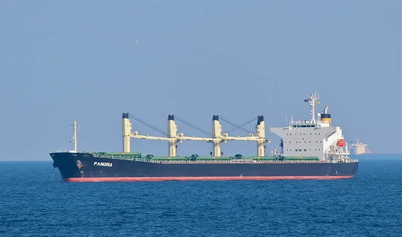 PANORIA Bulk Carrier IMO 9480930 photo 8