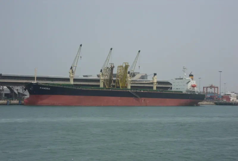 PANORIA Bulk Carrier IMO 9480930 photo 9