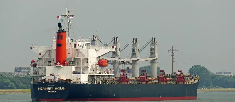 MERCURY OCEAN Bulk Carrier IMO 9480942 photo 6