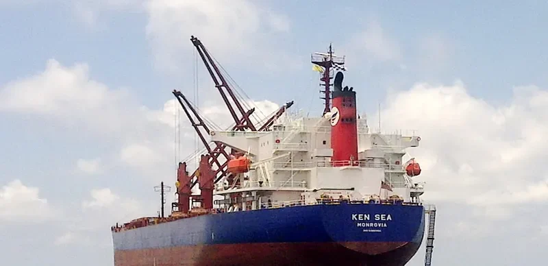 V PACIFIC Bulk Carrier IMO 9480954