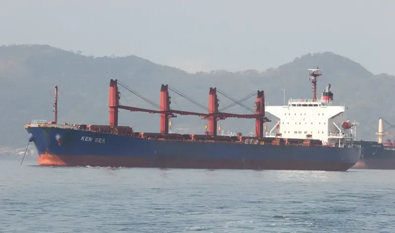 V PACIFIC Bulk Carrier IMO 9480954 photo 2