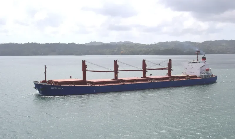 V PACIFIC Bulk Carrier IMO 9480954 photo 3