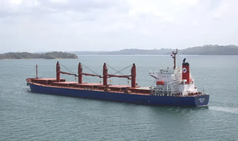 V PACIFIC Bulk Carrier IMO 9480954 photo 4