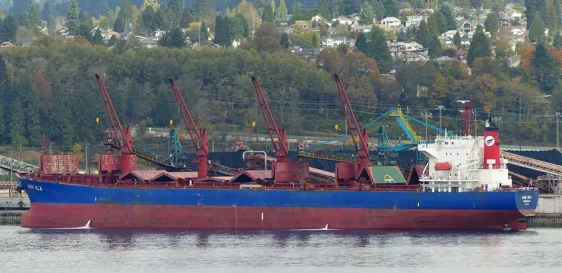 V PACIFIC Bulk Carrier IMO 9480954 photo 5