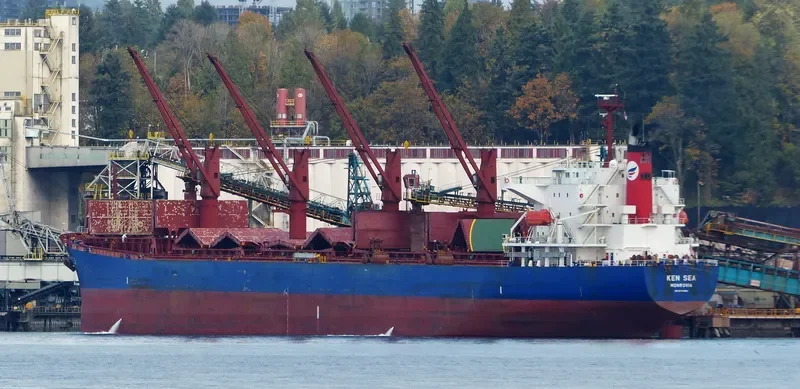 V PACIFIC Bulk Carrier IMO 9480954 photo 6
