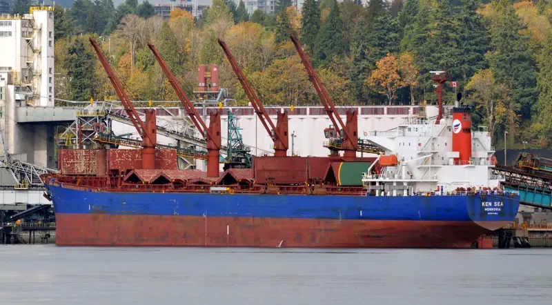 V PACIFIC Bulk Carrier IMO 9480954 photo 7