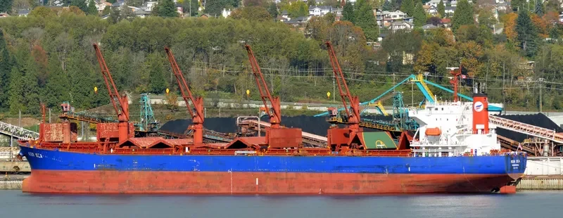 V PACIFIC Bulk Carrier IMO 9480954 photo 8