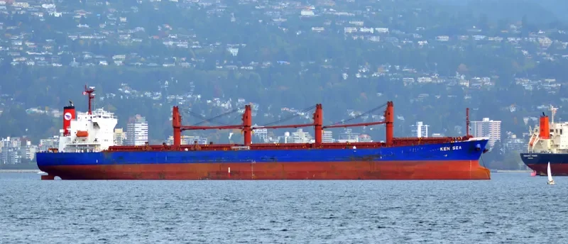 V PACIFIC Bulk Carrier IMO 9480954 photo 9