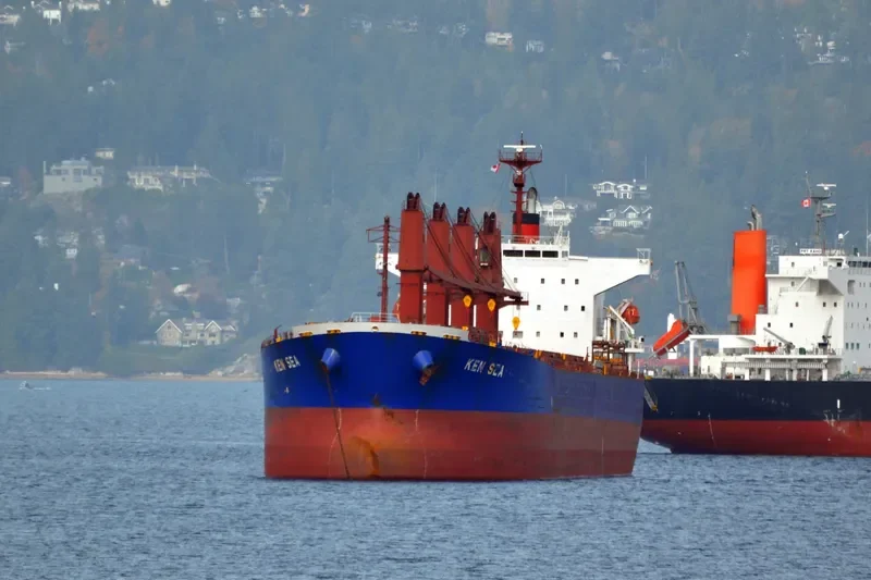 V PACIFIC Bulk Carrier IMO 9480954 photo 10