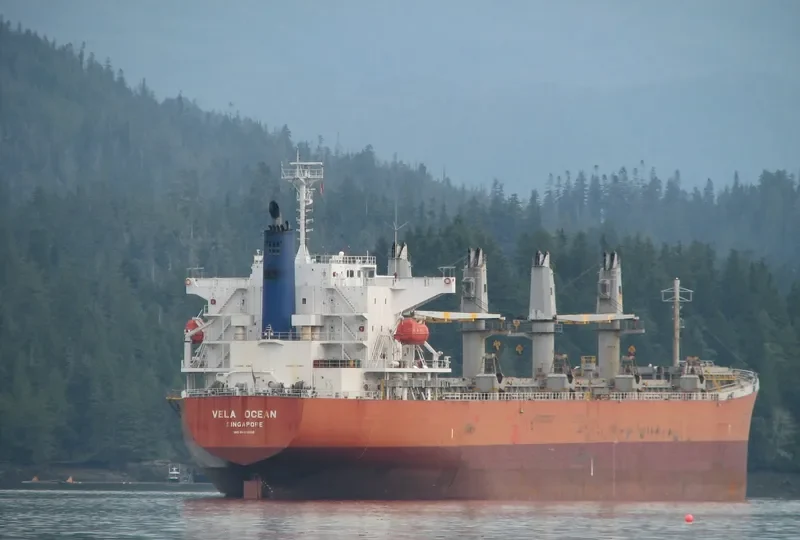 GOLDEN REJEKI Bulk Carrier IMO 9480966 photo 2