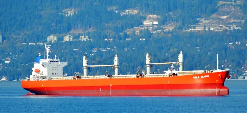 GOLDEN REJEKI Bulk Carrier IMO 9480966 photo 5