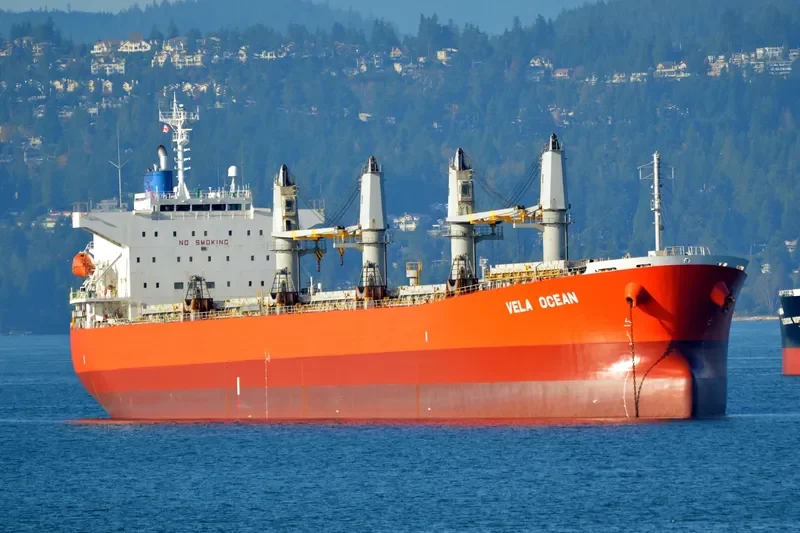 GOLDEN REJEKI Bulk Carrier IMO 9480966 photo 6