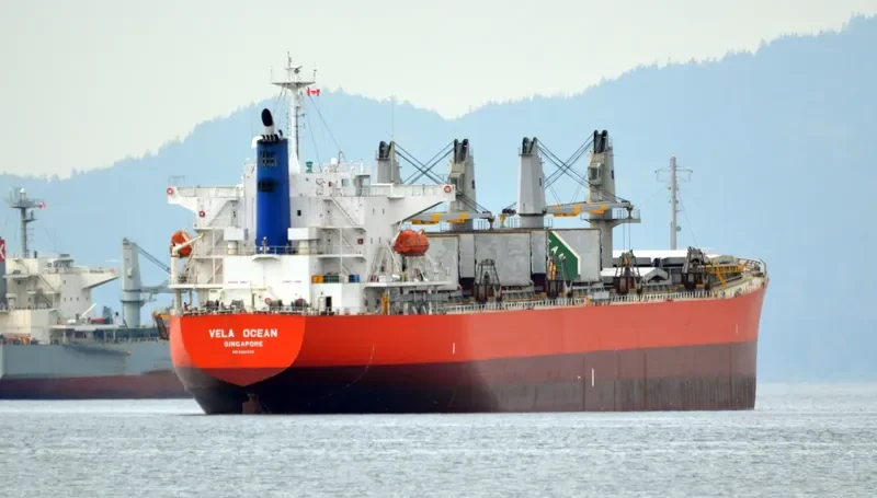 GOLDEN REJEKI Bulk Carrier IMO 9480966 photo 7