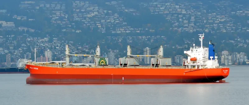 GOLDEN REJEKI Bulk Carrier IMO 9480966 photo 8